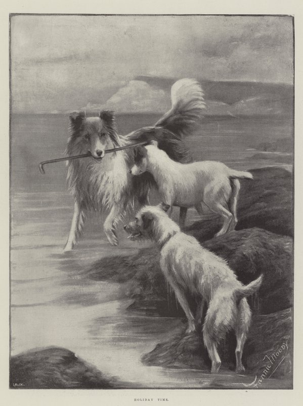 Tatil zamanı by Fannie Moody