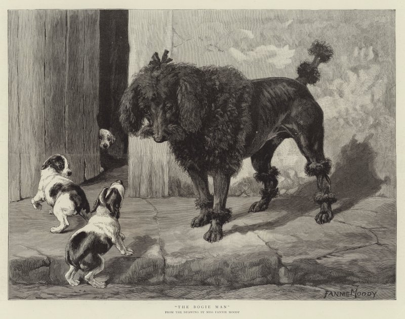 Boji Adam by Fannie Moody