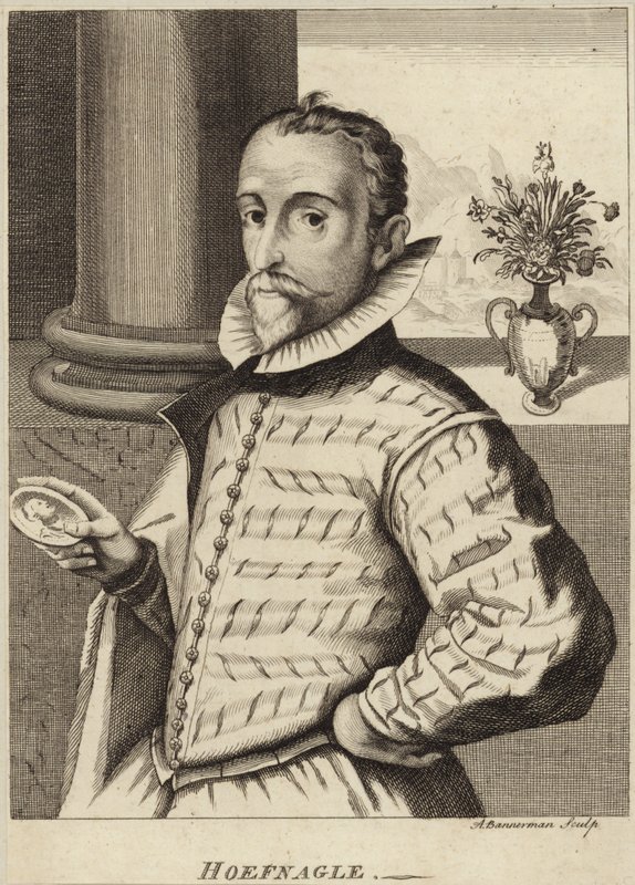 Joris Hoefnagel