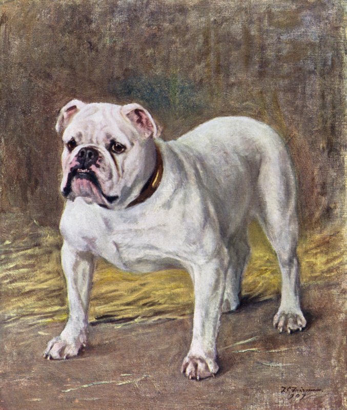 Kral Charles İspanyollar by Frances C. Fairman