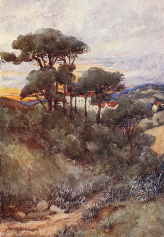  by Frances Nesbitt