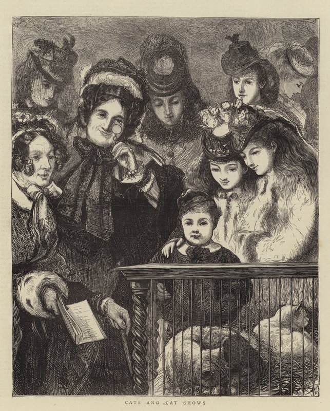 Kediler ve Kedi Gösterileri by Francis S. Walker