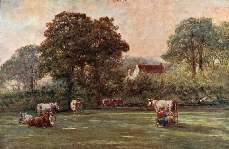 Hyde Lane