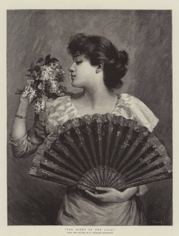 Leylak Kokusu by Frank Markham Skipworth