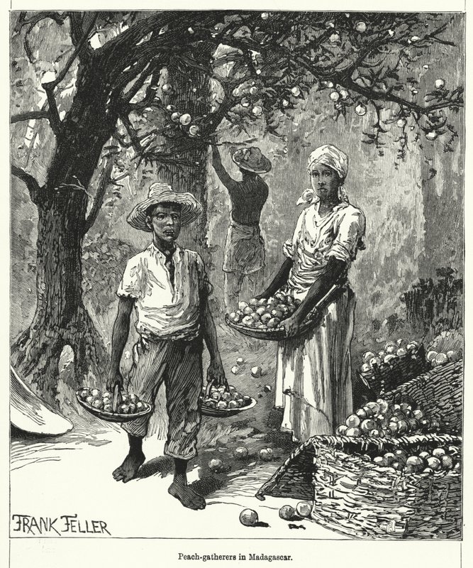Madagaskar