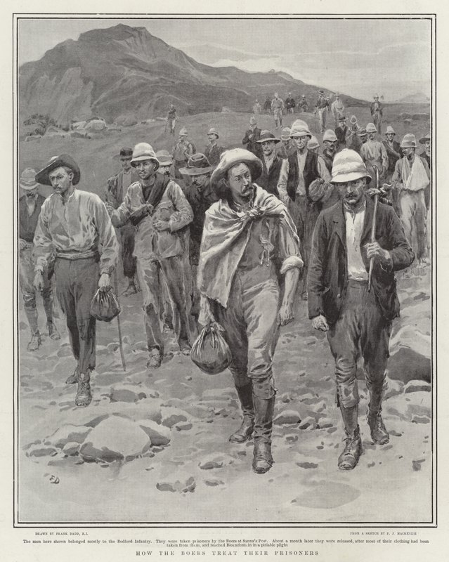 Böcekler, Deniz Canlıları ve Mouseturki Üzerine Bir Çalışma by Frank Dadd