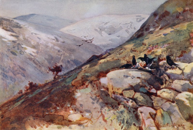 Kielder yakınlarında (renkli taş) by Frank Southgate