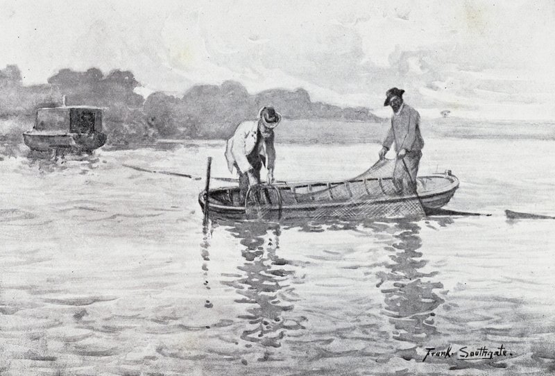 Norfolk Broads: Yılan Balığı Baklalarını Çekmek by Frank Southgate