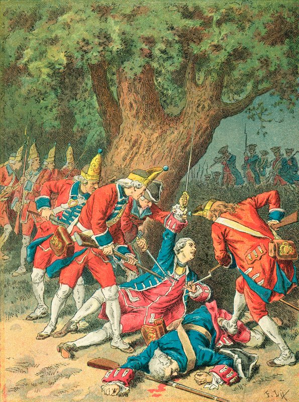Chevalier D 