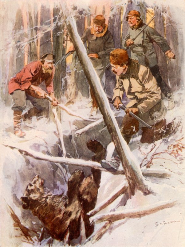 Ayı Tuzağı by Frederic de Haenen