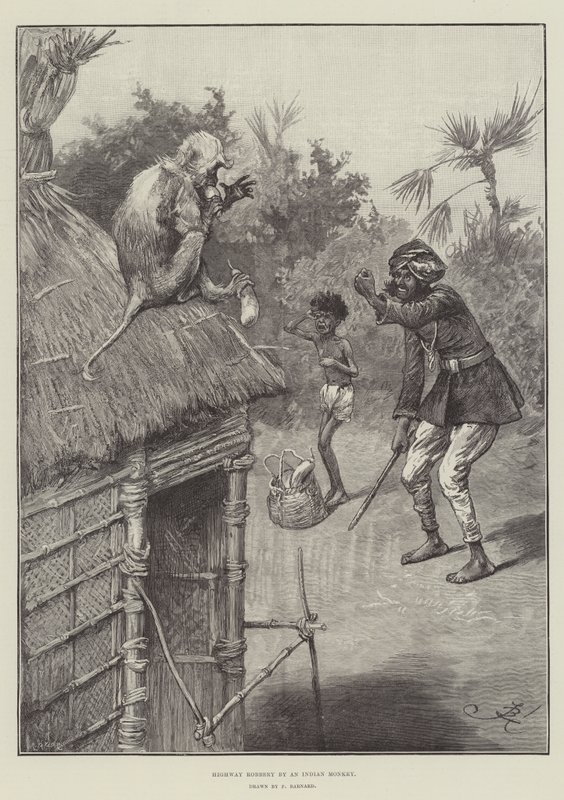 Kızılderili Maymunu Tarafından Otoyol Soygunu by Frederick Barnard