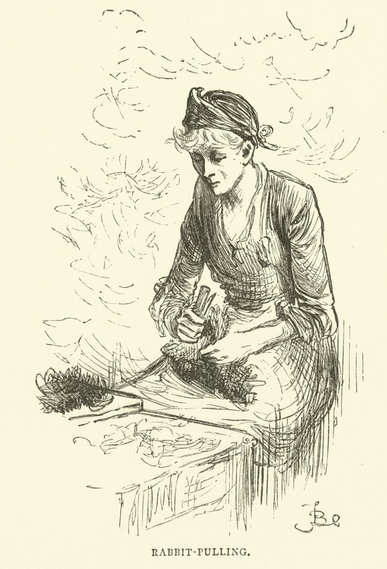 tavşan çekme by Frederick L. Bernard