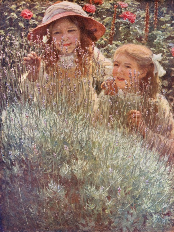  by Frederick Stead