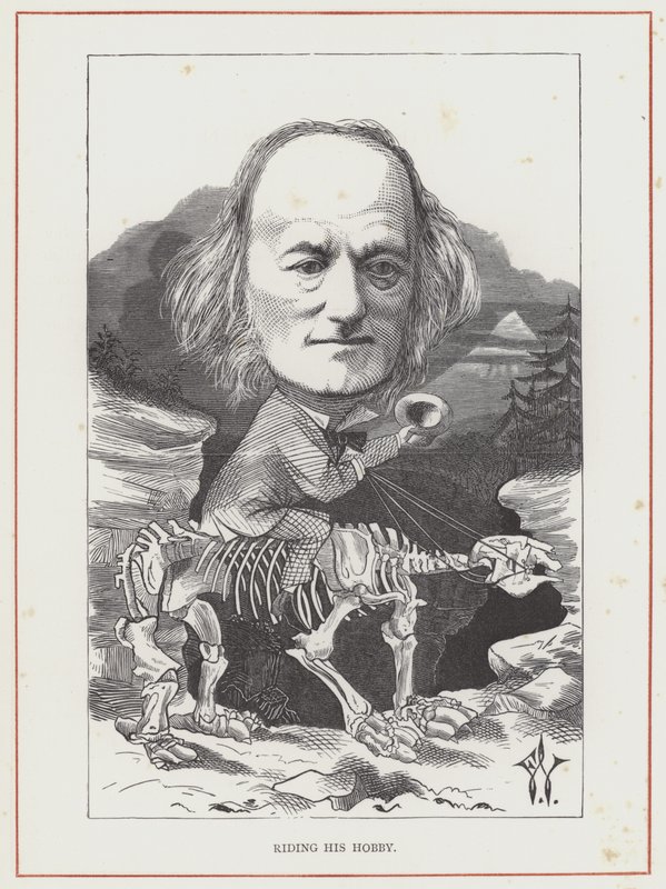 Profesör Richard Owen by Frederick Waddy