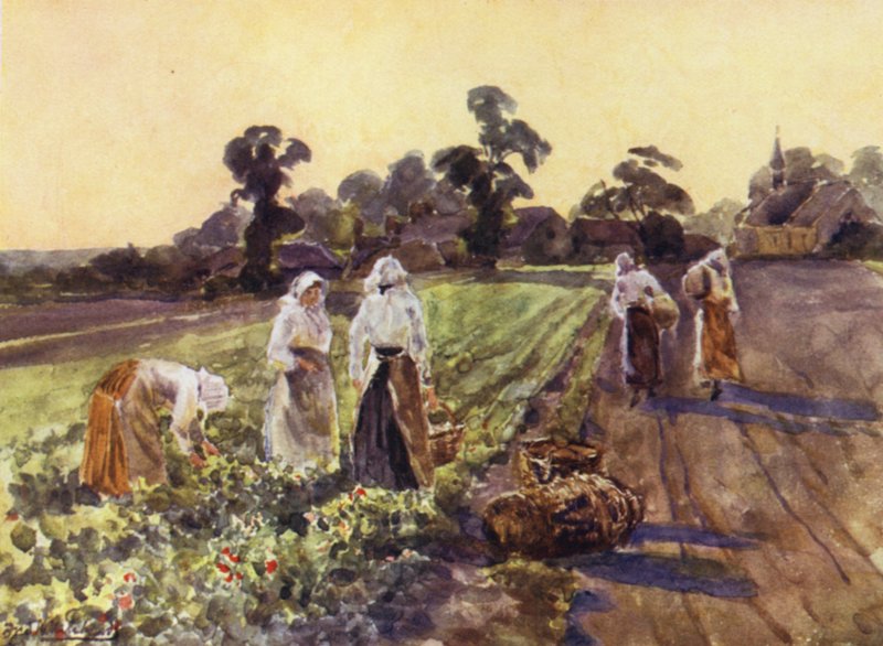 Çıkış Çıkışından Kurtulmak by Frederick William Newton Whitehead