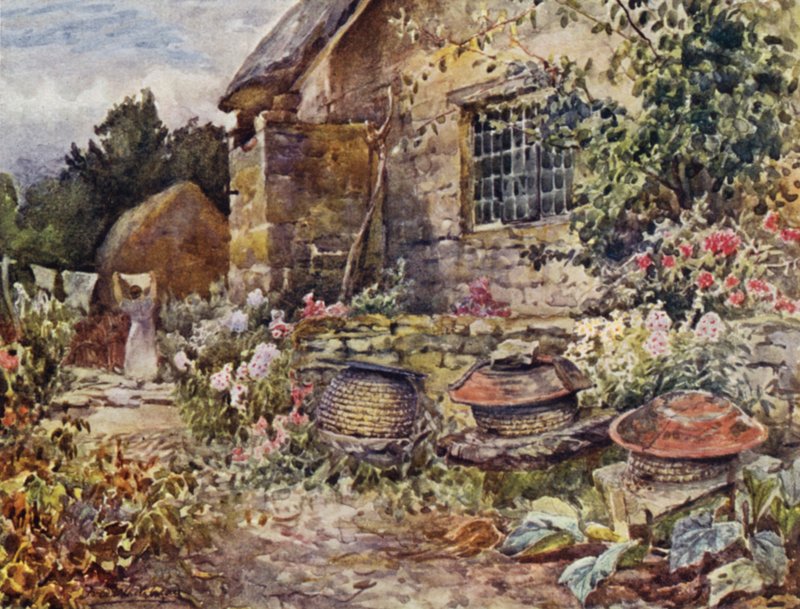 Winderton by Frederick William Newton Whitehead