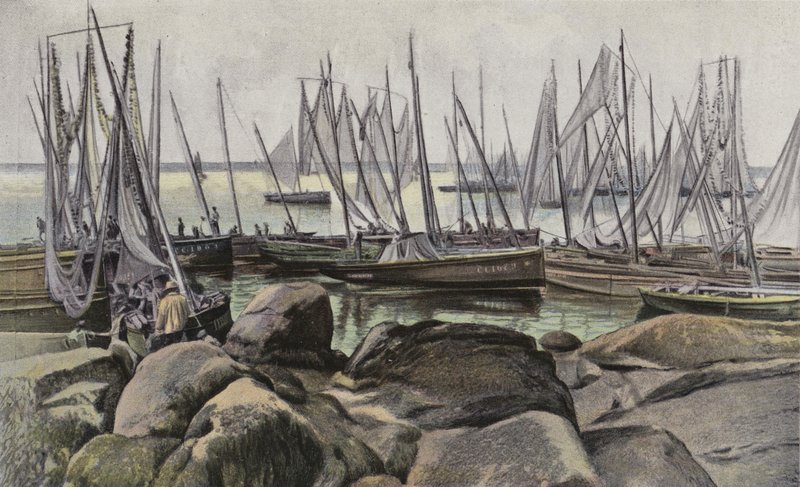 Concarneau, sardalye için balıkçı tekneleri by French Photographer