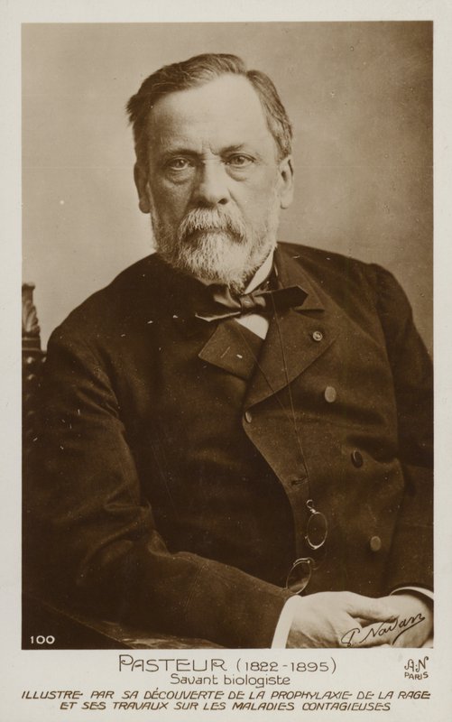 Louis Pasteur (1822-1895), Fransız kimyager ve mikrobiyolog by French Photographer