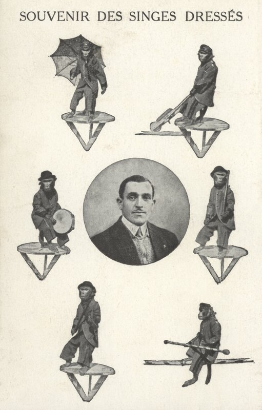Kostümlü maymunlar by French Photographer