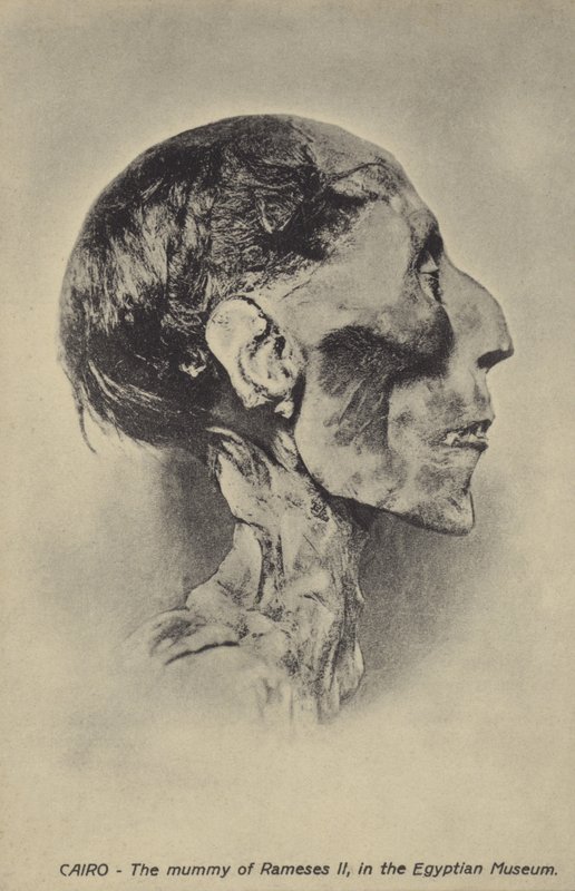 Ramses II