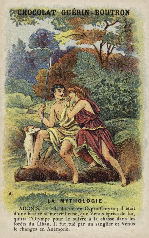 Adonis by French School