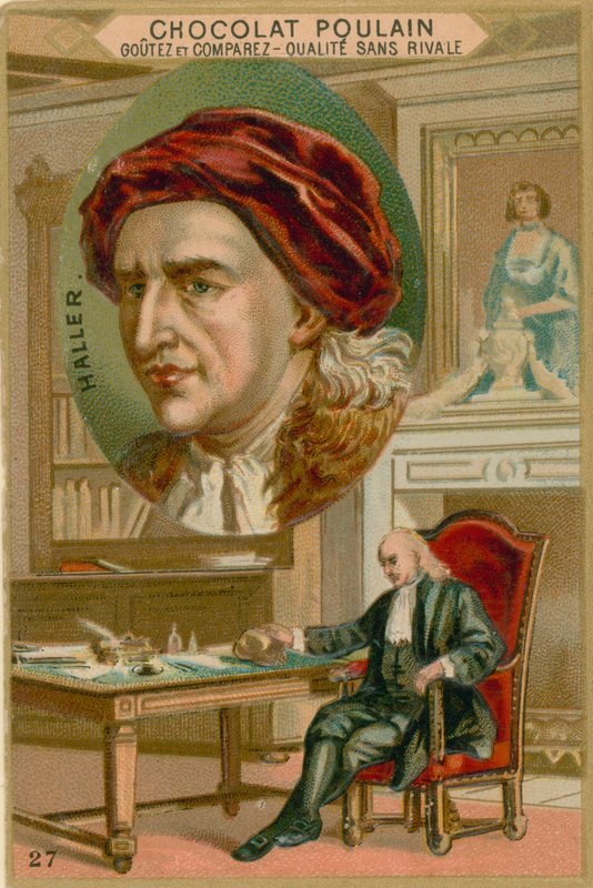Albrecht von Haller by French School