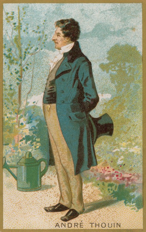 André Thouin by French School