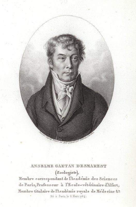 Anselme Gaëtan Desmarest by French School