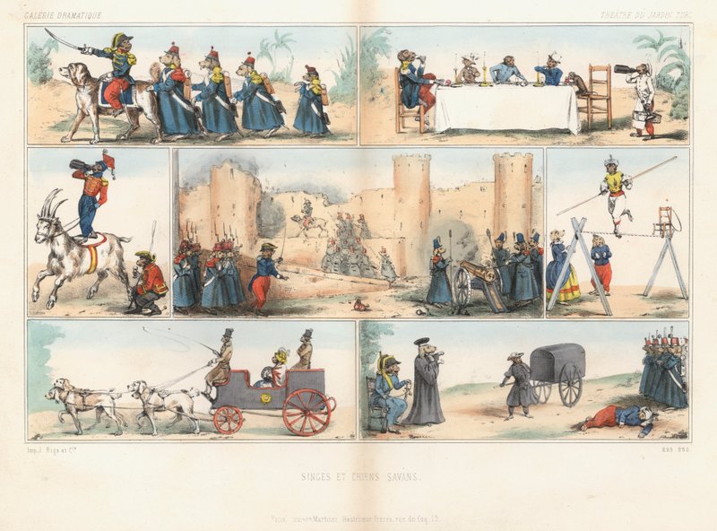 Antropomorfik köpekler ve maymunlar (renkli gravür) by French School