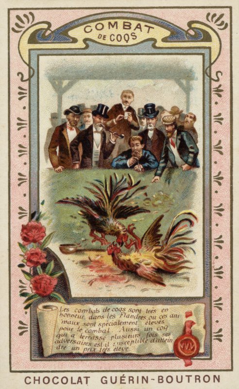 Horoz dövüşü by French School