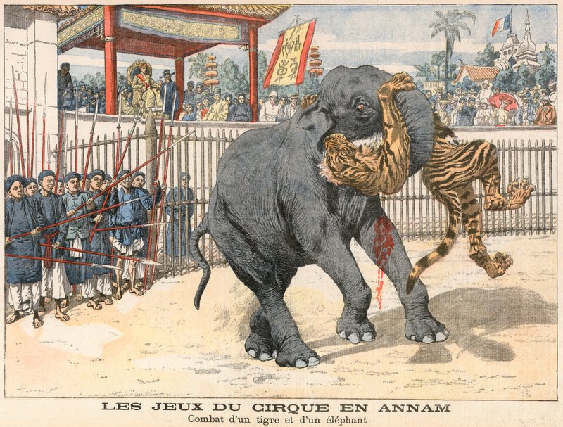 Bir kaplan ve bir fil arasındaki savaş by French School