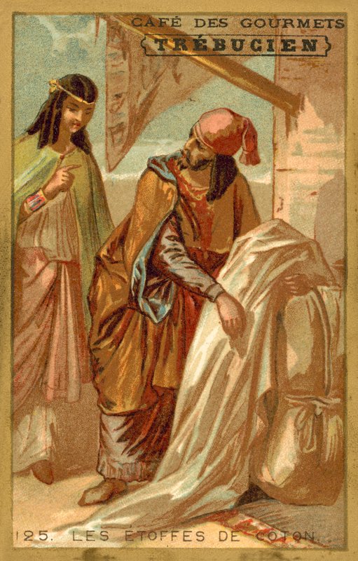 Pamuklu kumaşlar (chromolitho) by French School