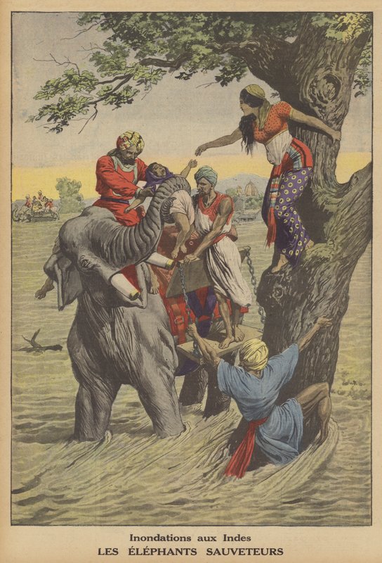 Hindistan