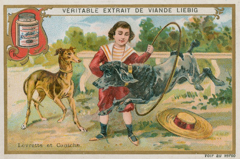 Tazı ve Kaniş by French School