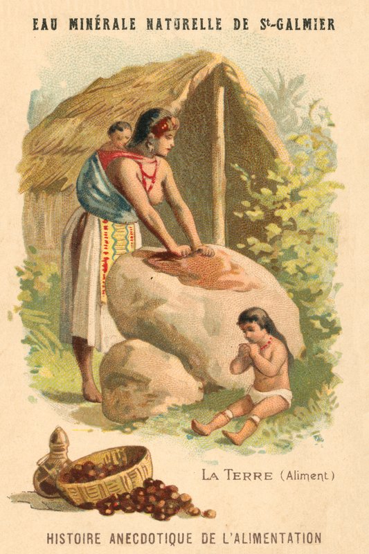 Yer fıstığı (chromolitho) by French School