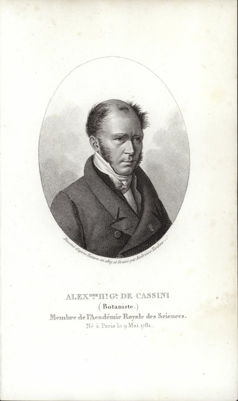 Henri cassini by French School