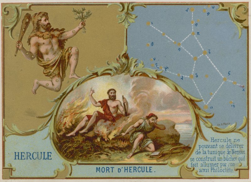 Herkül by French School