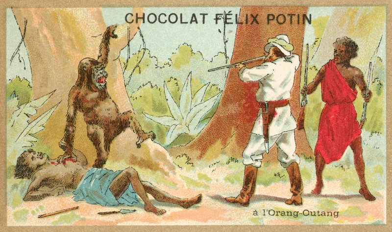 Avcılık orangutan (kromolito) by French School