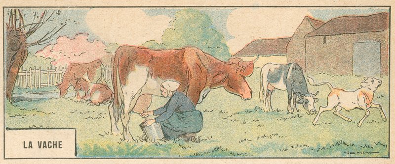 La Vache (renk üyeleri) by French School