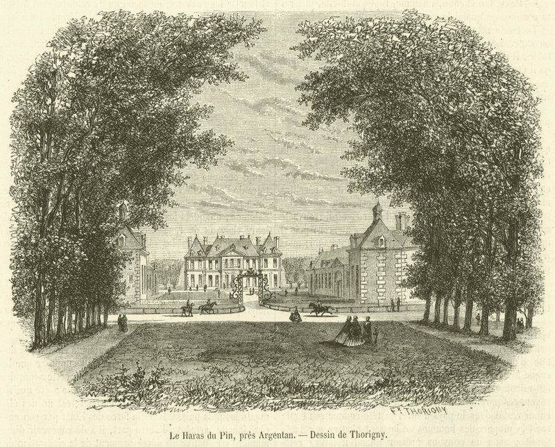 Haras du Pin, Arjantin
