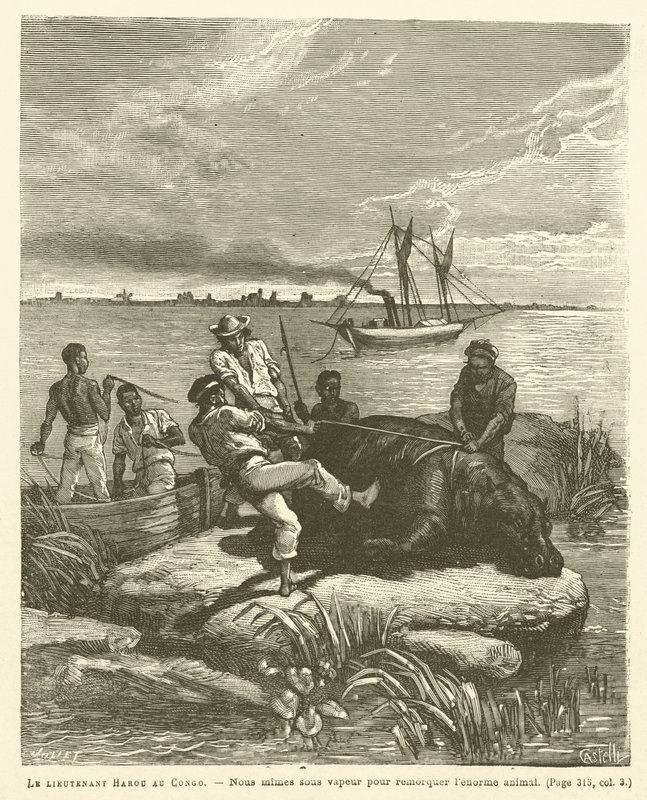 Teğmen Harou Kongo