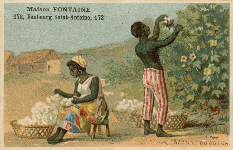 Maison Fontaine ticaret kartı, pamuk hasadı by French School