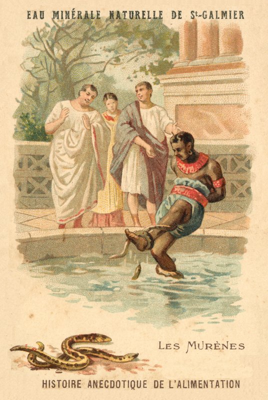Müren balığı (chromolitho) by French School