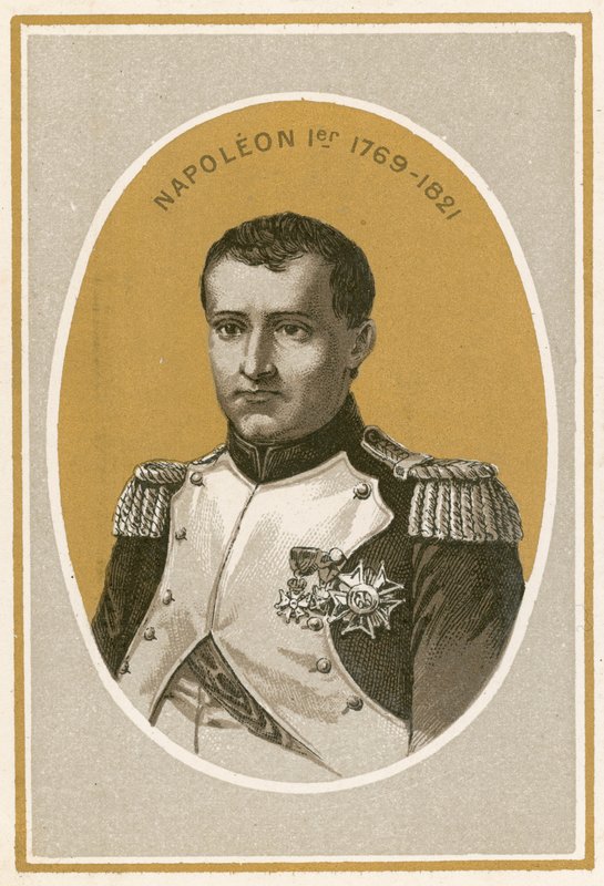 Napolyon 1er by French School