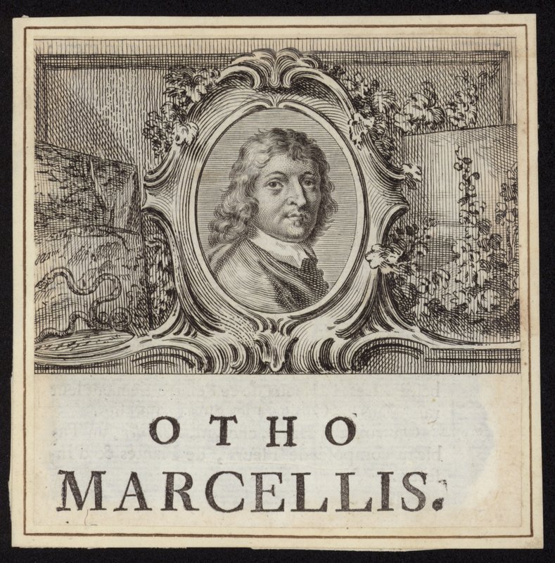 Otto Marseus van Schrieck by French School