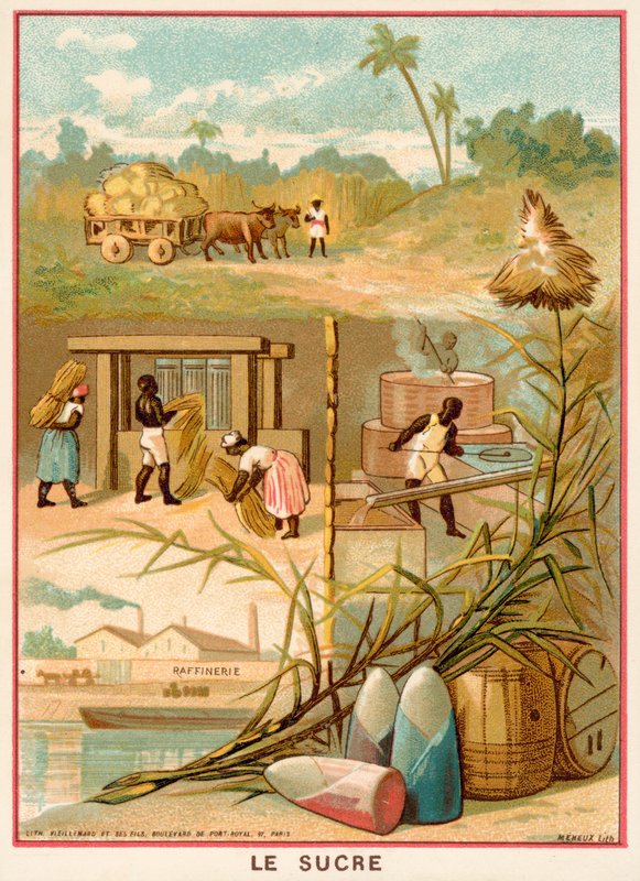Şeker (kromolito) by French School