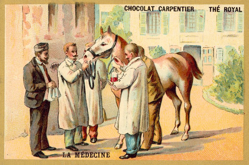 Bir attan kan alınması (chromolitho) by French School