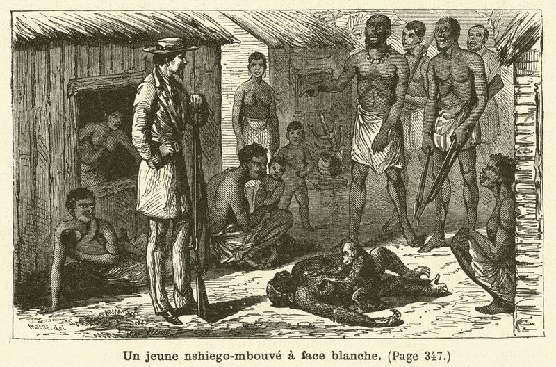 Beyaz yüzlü genç bir nshiego-mbouve (gravür) by French School