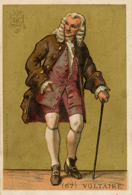 Voltaire by French School