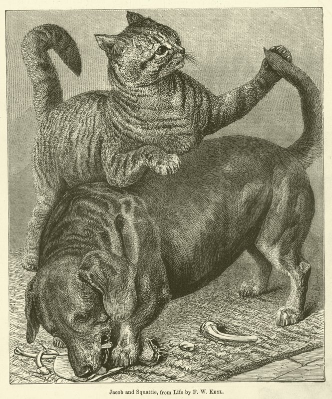 Jacob ve Squattie (gravür) by Friedrich Wilhelm Keyl